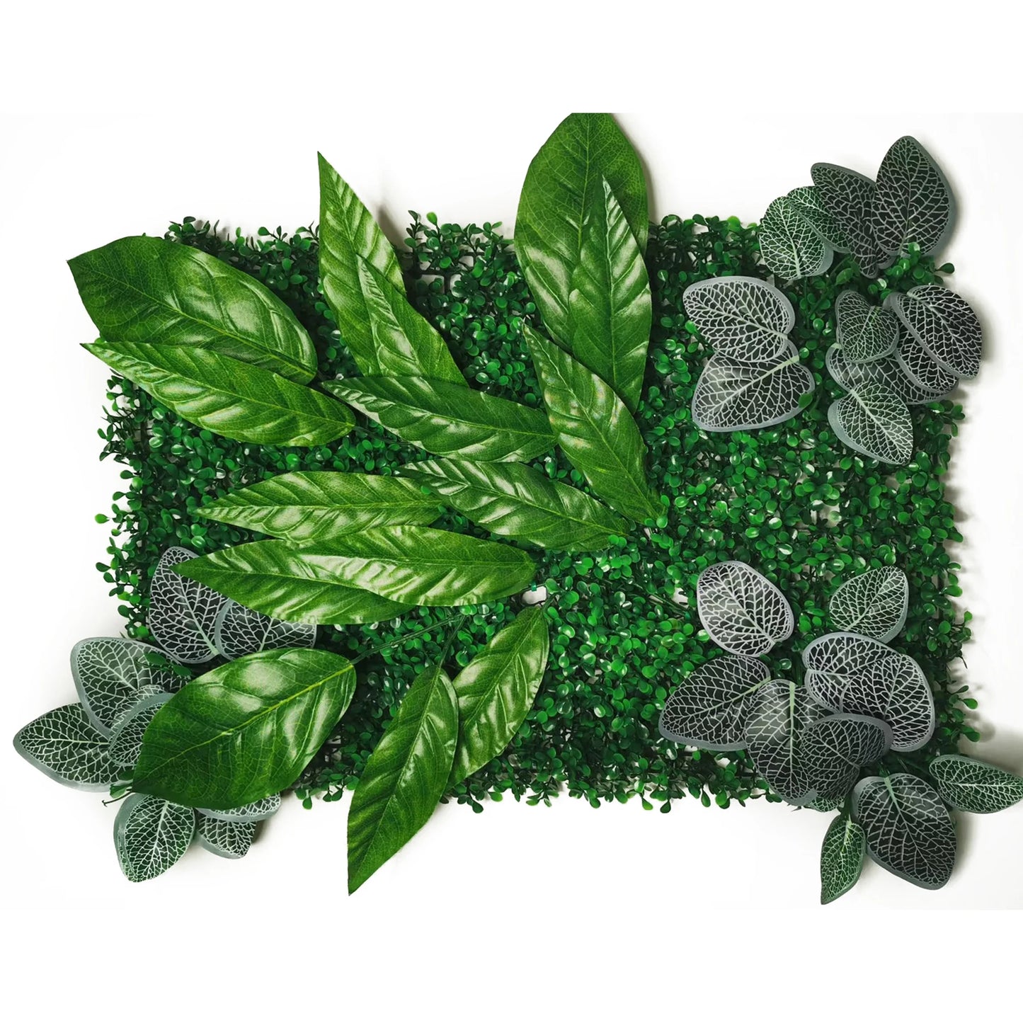 Mur végétal feuillage jungle compacte | rendu dense et réaliste