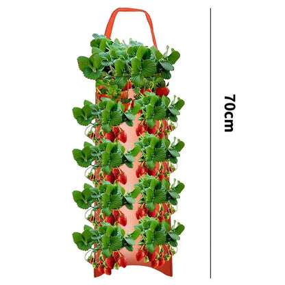 fraisiers en jardiniere polyvalente | Velora