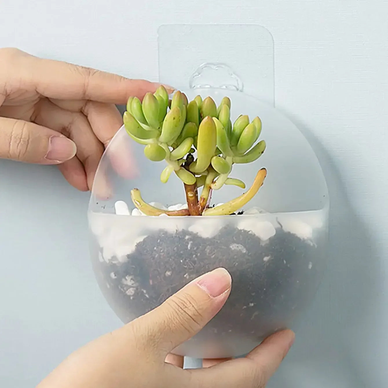 Jardinière sur muret | Coren