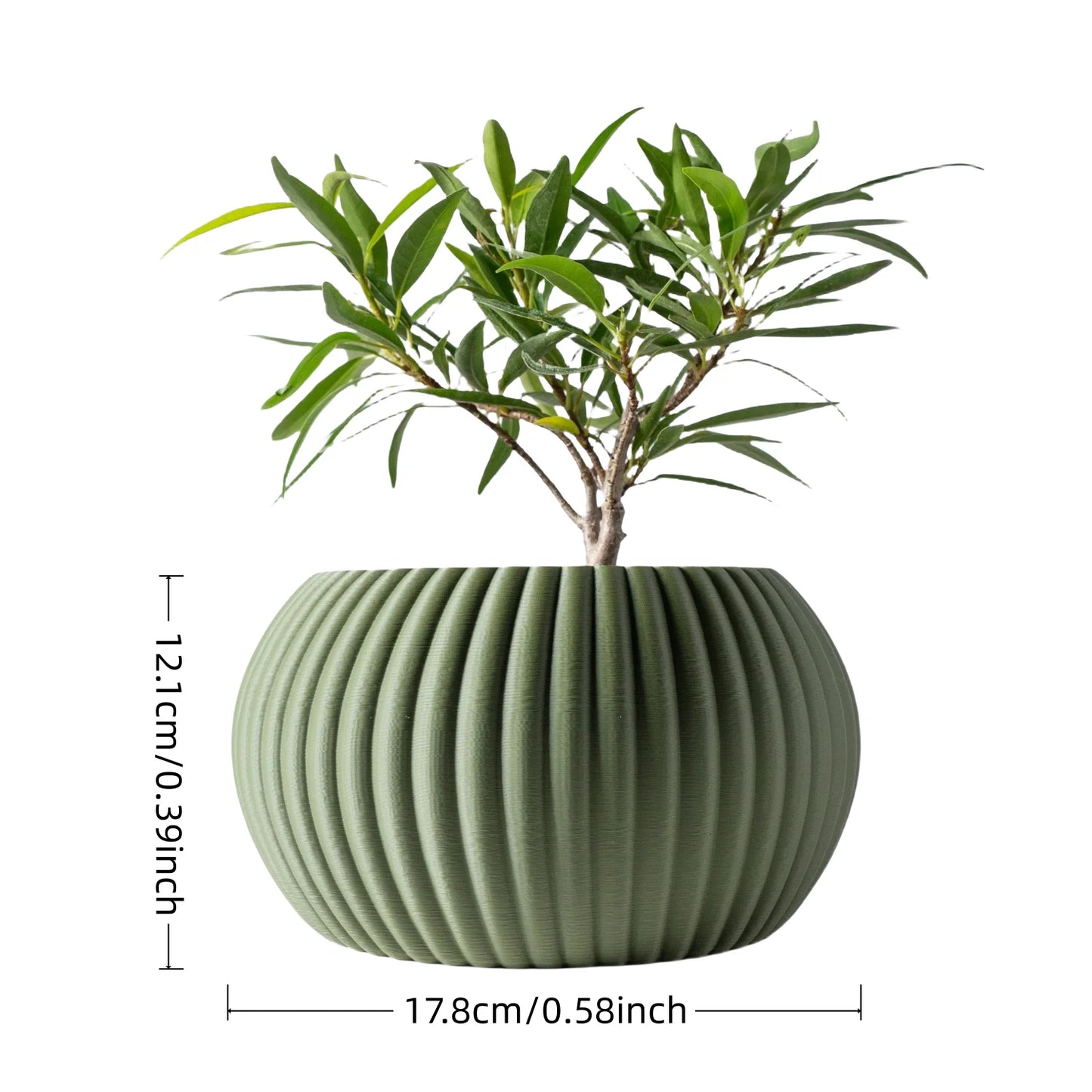 Vase vert rainuré | Ardezia