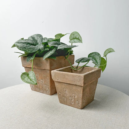 jardinière carrée | Arvion