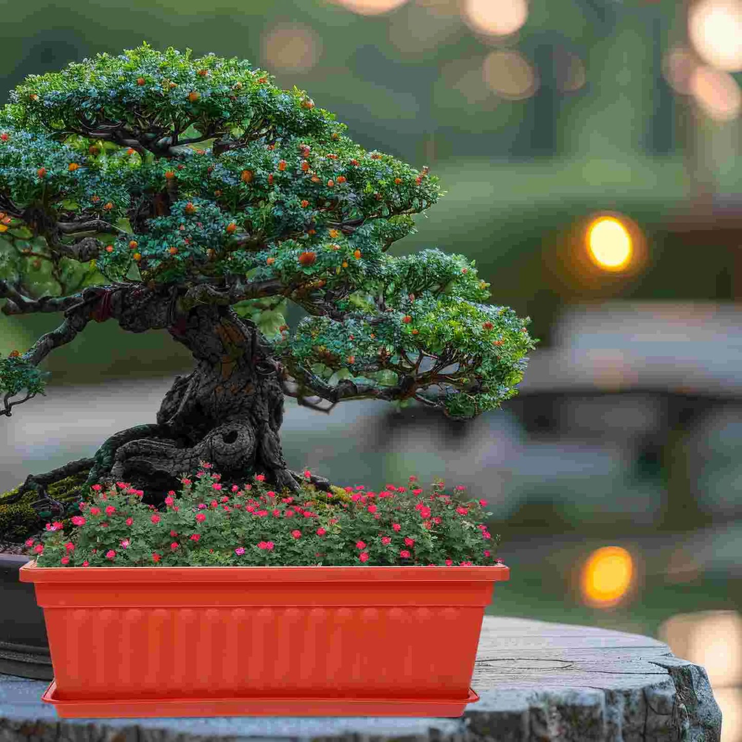 Jardinière pour fenêtres | Velyra