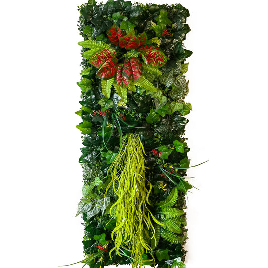 plantes mur végétal exterieur | Fenaya