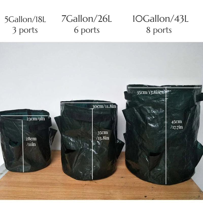 Jardinière fraisier | Loryal