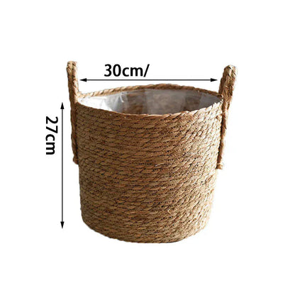 bambou en jardinière | Loryal