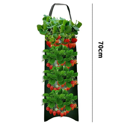 fraisiers en jardiniere polyvalente | Velora