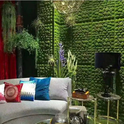 Mur végétal décoratif XXL | ambiance jungle intérieure