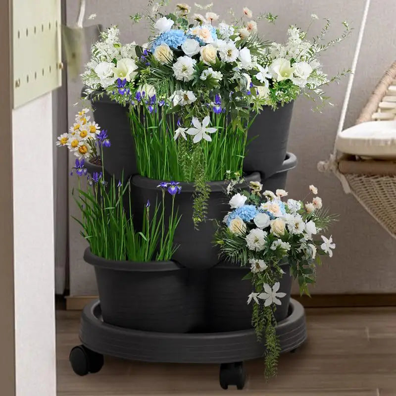 Fraisier en jardinière | Norvénis