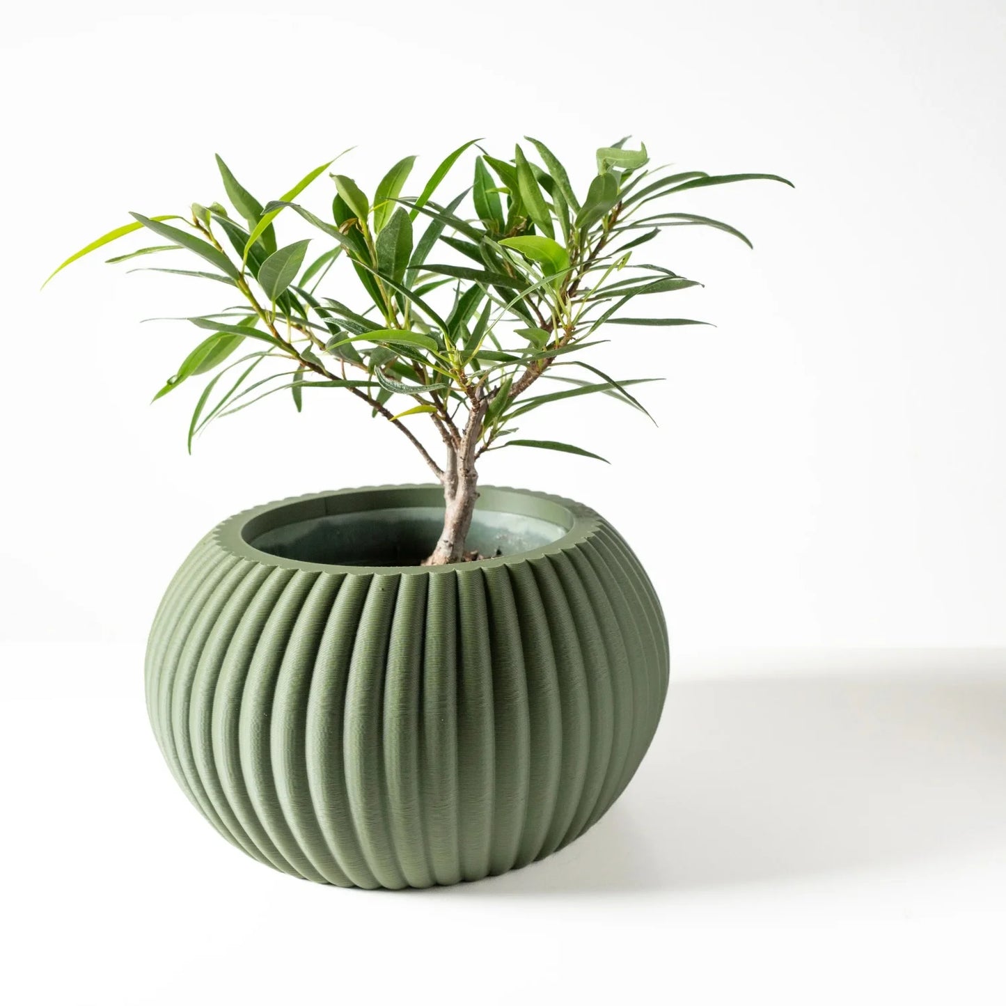 Vase vert rainuré | Ardezia