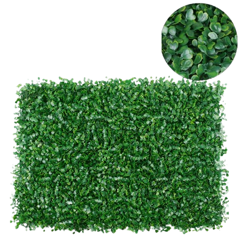 mur végétal | Lysandre