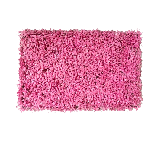 mur végétal pour balcon | Irynel