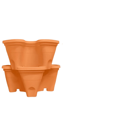 fraisier pour jardinière | Arvelis