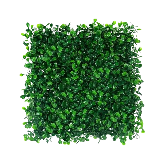 mur végétal extérieur sans entretien | Arvyn