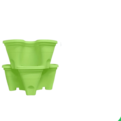 fraisier pour jardinière | Arvelis