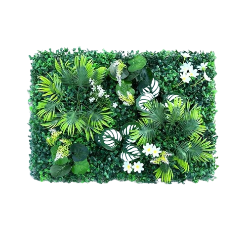 mur végétal extérieur naturel | Orenia