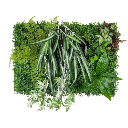 murs végétal | Elyen