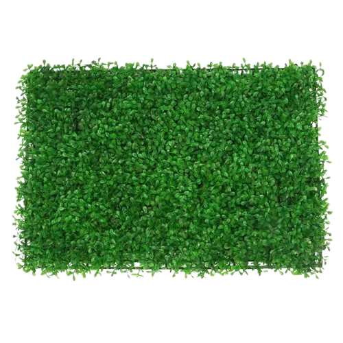 décoration mur végétal intérieur | Savren