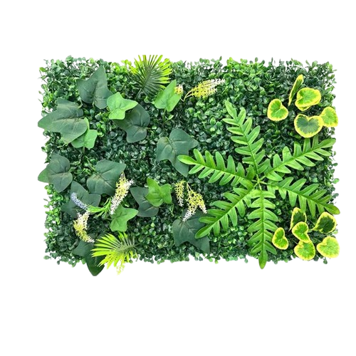 mur végétal aquarium | Aquyra