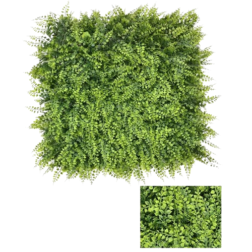 plante mur végétal extérieur | Soreal