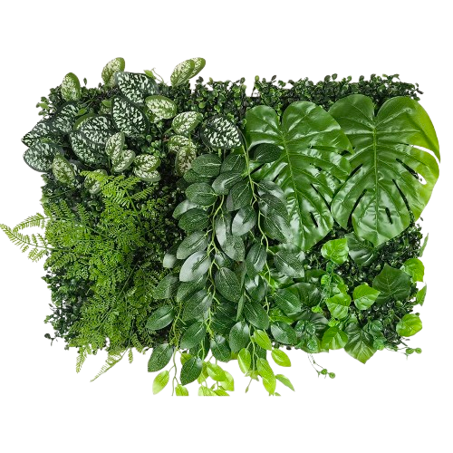 petit mur végétal intérieur | Elyson