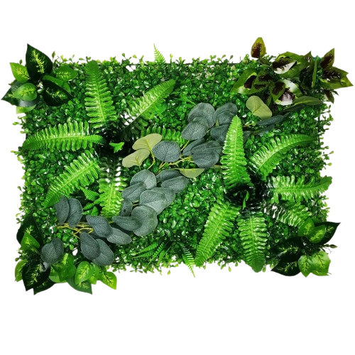Mur végétal orchidées suspendues | design luxuriant