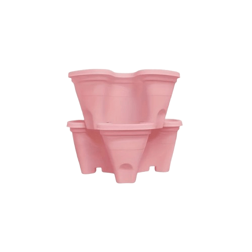fraisier pour jardinière | Arvelis