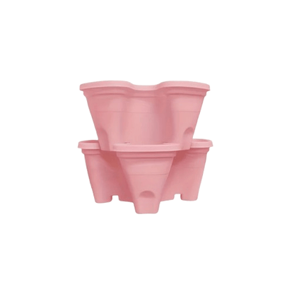 fraisier pour jardinière | Arvelis