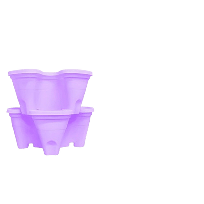 fraisier pour jardinière | Arvelis