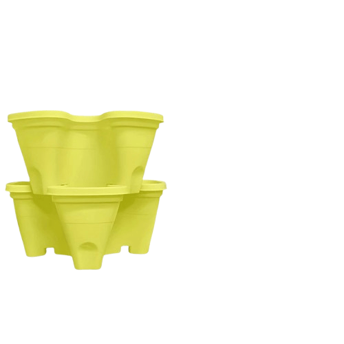 fraisier pour jardinière | Arvelis