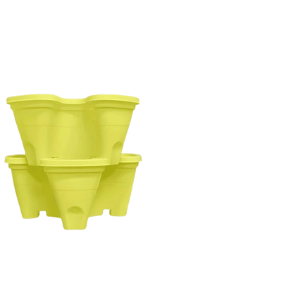 fraisier pour jardinière | Arvelis